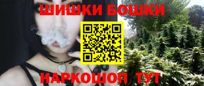 сатива Будённовск