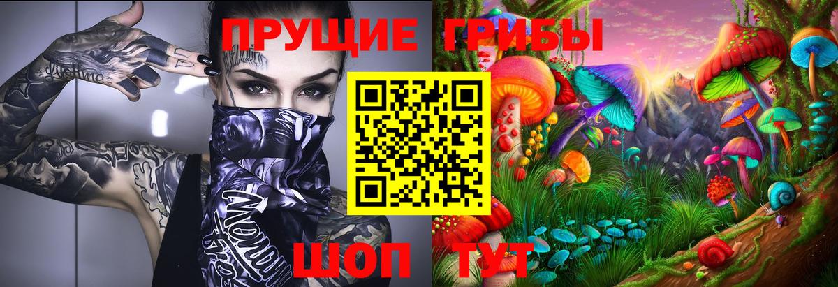 Галлюциногенные грибы GOLDEN TEACHER Гагарин