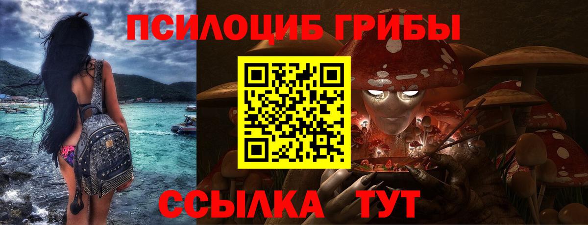 Гагарин  Псилоцибиновые грибы ЛСД  Псилоцибиновые грибы Cubensis  Вход с VPN 