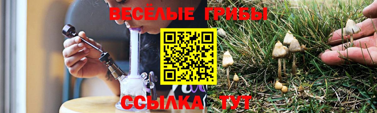 Галлюциногенные грибы Psilocybe Гагарин